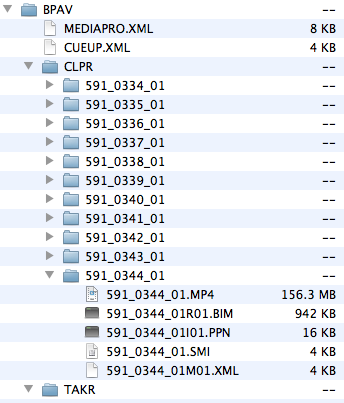 Anatomy of a BPAV folder used by XDCAM EX